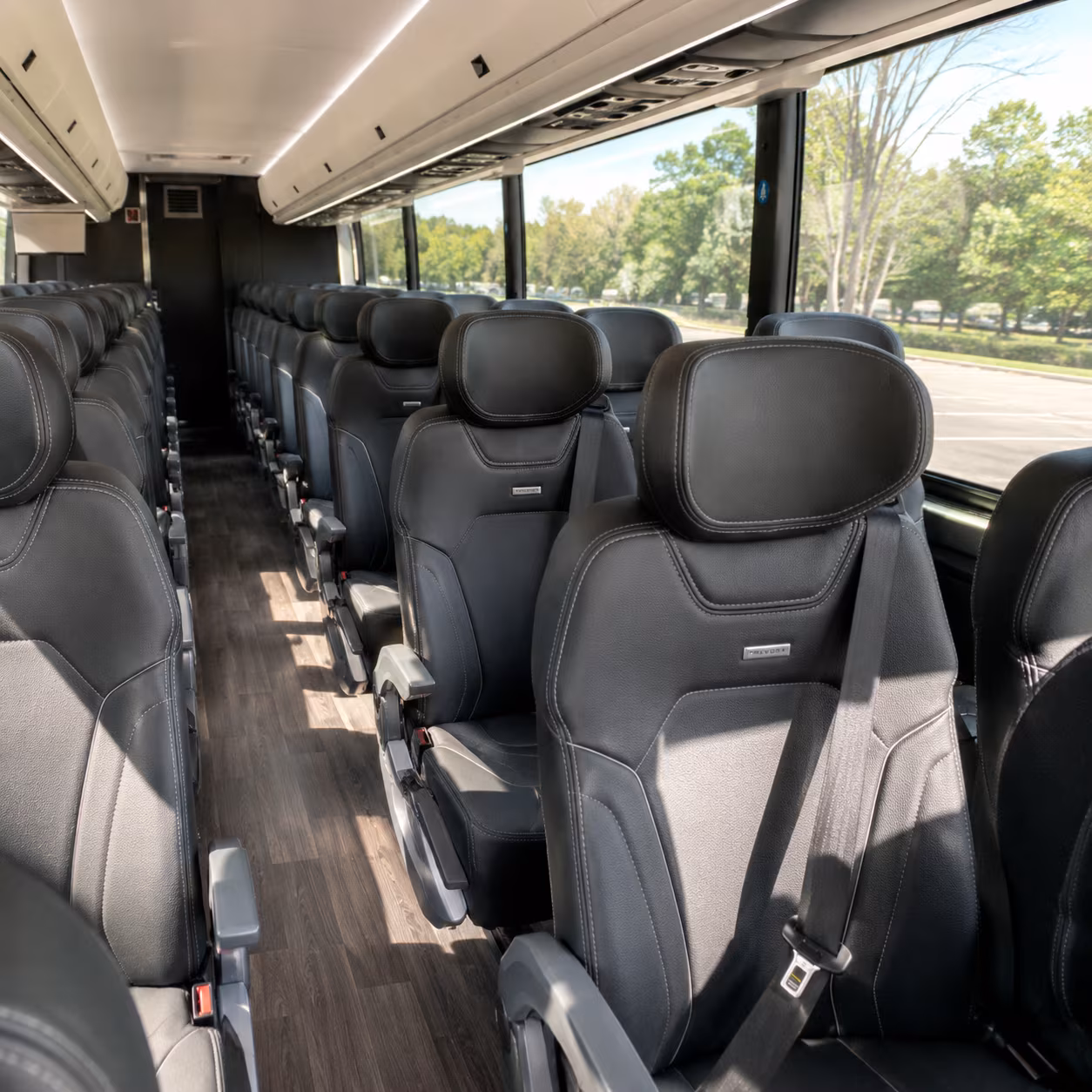 bus rentals for murrieta youth group trips and outings