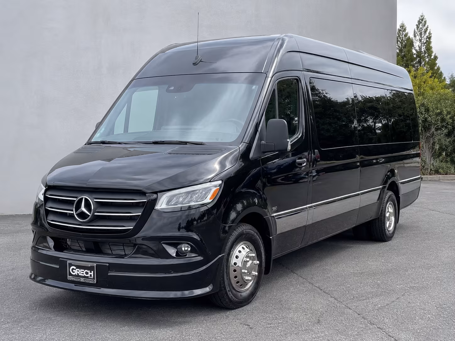 sprinter vans and minibuses for executive and client